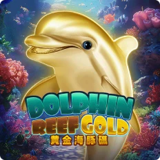 dolphin reef gold